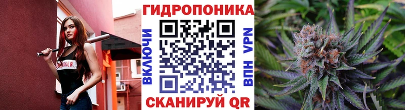 Где купить наркоту Нолинск Каннабис Alpha-PVP ГАШ
