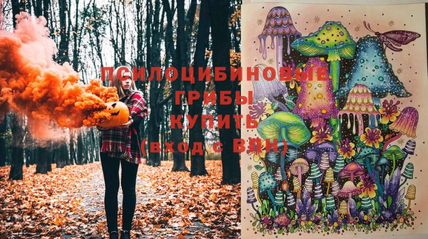 гидропоника Алексин