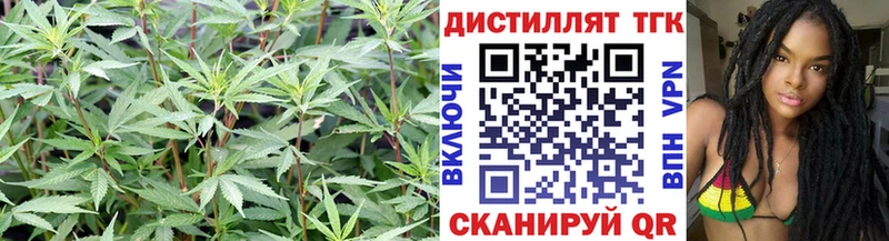 hydra рабочий сайт  Нолинск  Дистиллят ТГК концентрат  где продают  